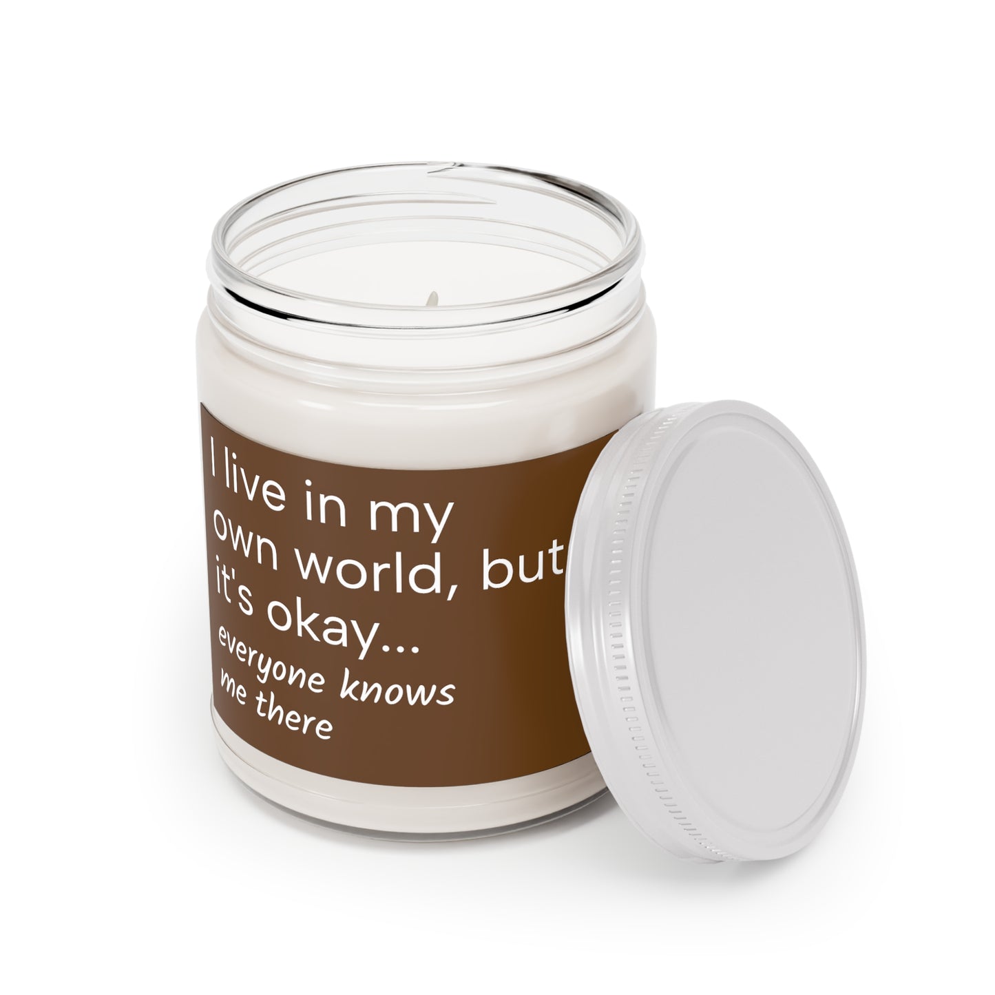 "I live in my own world, but it's okay...everyone knows me there" Scented Candle for Introverts, 9oz