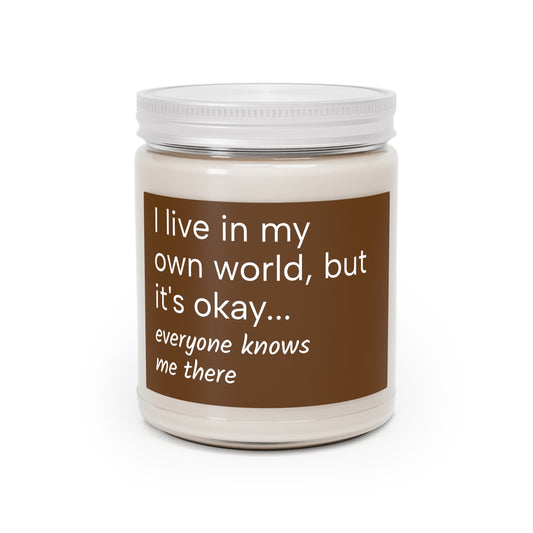 "I live in my own world, but it's okay...everyone knows me there" Scented Candle for Introverts, 9oz