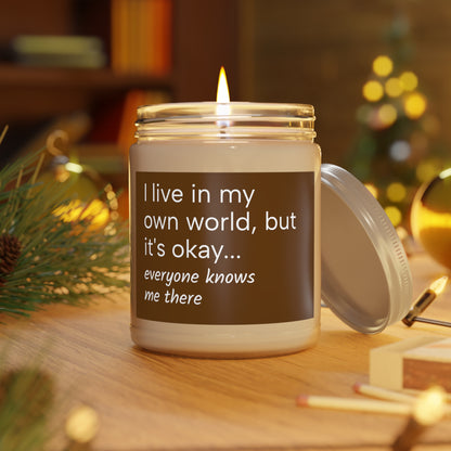 "I live in my own world, but it's okay...everyone knows me there" Scented Candle for Introverts, 9oz